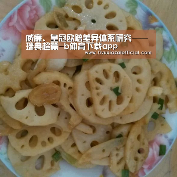 b体育下载