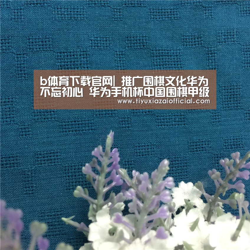 b体育下载
