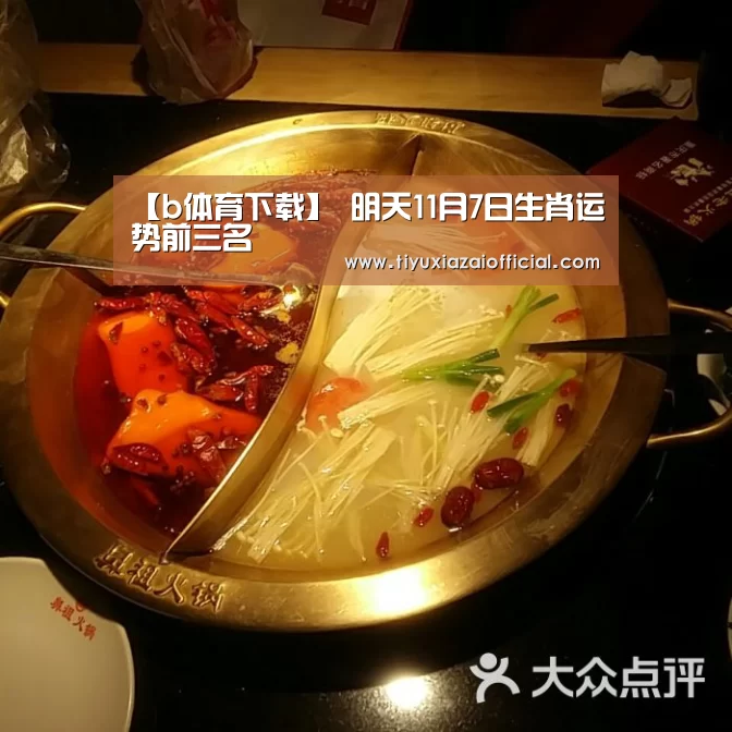 b体育下载