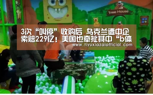 3次“叫停”收购后 乌克兰遭中企索赔229亿!美国也牵扯其中“b体育下载官网”(图4) b体育下载