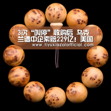 3次“叫停”收购后 乌克兰遭中企索赔229亿!美国也牵扯其中“b体育下载官网”(图3) b体育下载