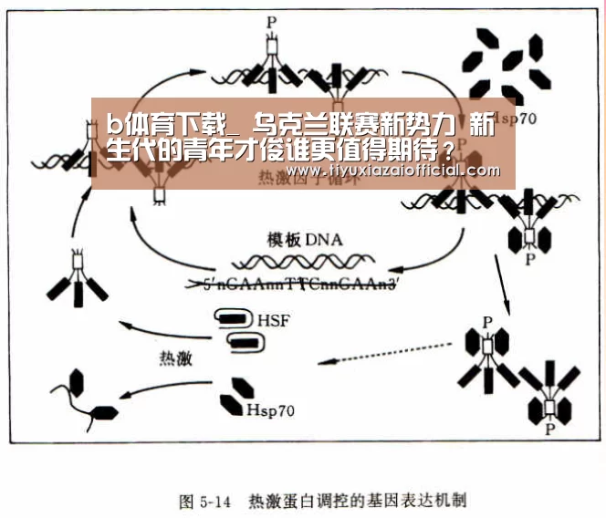 b体育下载