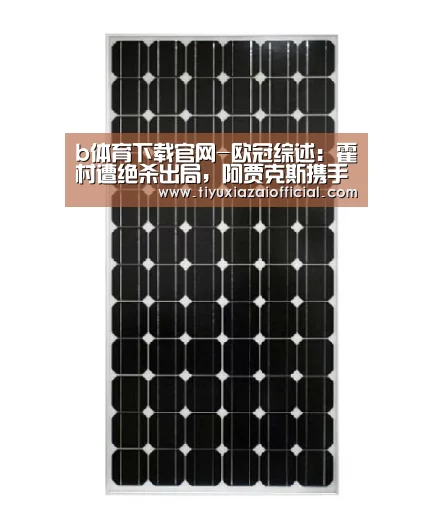 b体育下载官网-欧冠综述:霍村遭绝杀出局,阿贾克斯携手拜仁出线(图1) b体育下载