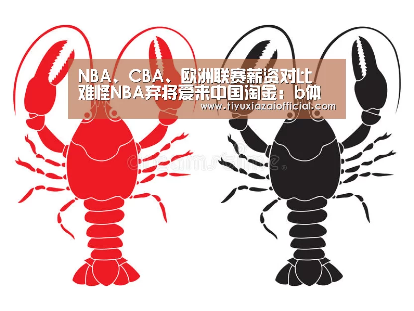 NBA、CBA、欧洲联赛薪资对比 难怪NBA弃将爱来中国淘金:b体育下载(图3) b体育app
